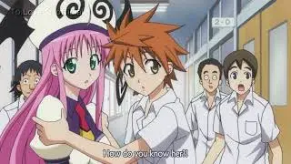 To Love Ru Trouble - Rito Will Never Be Forgiven
