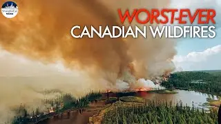 Thousands evacuated as over 1,000 wildfires ravage Canada; emergency declared in Yellowknife