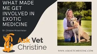 What made me get involved in exotic animal medicine?