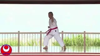 Matsumura no Passai - Mestre Morinobu Maeshiro (10dan) - Nippon Shorin-ryu Karate-do & Kobudo Kyokai