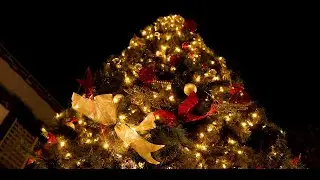 The Enterprise Building | Christmas Tree