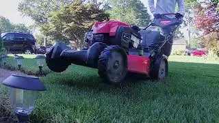 THE CUT BEFORE THE EDGE UP real time mowing✔💯