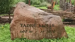 TADRE M&Oslash;LLES