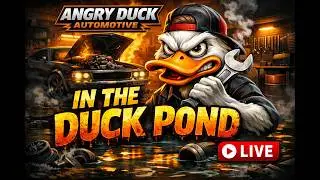 Angry Duck Live Chat