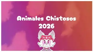 Animales Chistosos 2026 / 5to. Aniversario 
