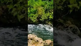 Flowing river relaxation, feed short