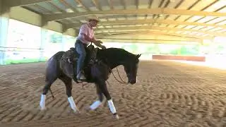 Standing a Horse's Shoulder Up
