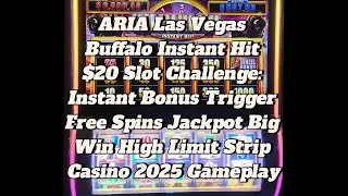 ARIA Las Vegas Buffalo Instant Hit $20 Slot Challenge: Instant Free Spins Jackpot Big Win 2025