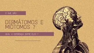 O  que são Dermátomos e Miótomos e qual a diferença entre eles?