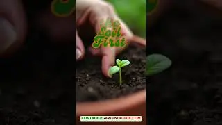 5 Watering Hacks Every Container Gardener Must Know! 💧 #UrbanGardening #gardening