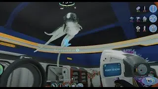 Hatching Day! Cuddlefish Scan + Egg Nursery EXPLOSION