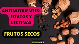 FRUTOS SECOS: Los problemas de los antinutrientes: FITATOS Y LECTINAS