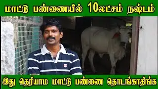 மாட்டு பண்ணையில் 10லட்சம் நஷ்டம் | உன்மை நிலவரம் என்ன?  | இது தெரியாம மாட்டு பண்ணை தொடங்காதிங்க