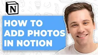 How to Add Photos in Notion (Full 2026 Guide)