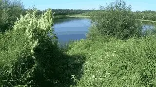 Вело-Водный поход. Валдай-Крестцы-М. Вишера Август 2023