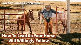 How To Lead So Your Horse Will Willingly Follow