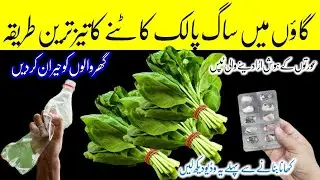Best kitchen tips to save money 🤑 & time with 1 thing how to kitchen clean and organise, new tips