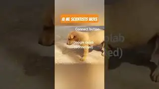 Google Colab be like 🤣🤣 #shorts #googlecolab