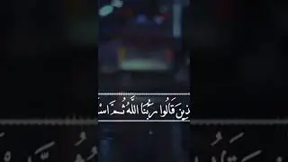 تلاوة مؤثرة  
