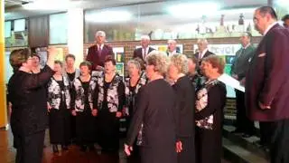 Me&scaron;ani pevski zbor DU Kamnik -V tihi noči... Bled 20.maja 2011