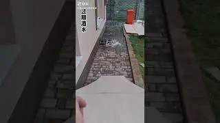 funny(1)