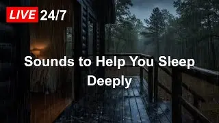 Warm Cabin Rain in a Quiet Forest 🌲 | Sounds to Help You Sleep Deeply