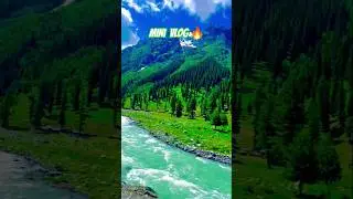 Mini Vlog l Nature Scenes | Cinematic Nature Moments #shorts #vlogs #viral #explore #trending #yts