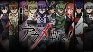 AniReview #1: Akame Ga Kill!