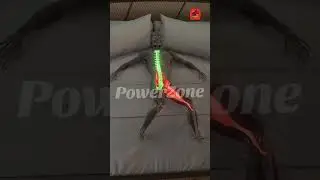 Bedtime routine to restore hip mobility and release spinal tension