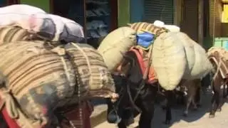डकुमेन्ट्री फिल्म , दार्चुला , जिल्ला सुदुरपस्चिम /Documentary Film-Far-west in Nepal