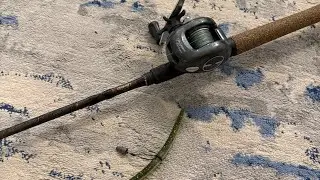First video with my new GoPro! Quick casts at the pond