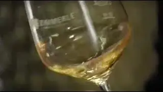 German ice wine maker defies climate change