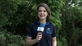 Cuidados importantes para prevenir a dengue
