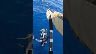 You do this every day? # #fishing #jigging #gtfishing # #srilanka #deepseafishing