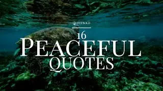 16 Peaceful Quotes & Sayings