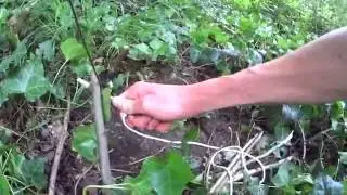 piège à lapins/renards/sangliers/mammifères...