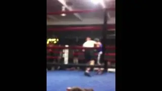 Old Dog Boxing Chance vs. Joe
