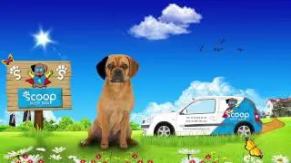 SCOOP DOTTY DOG COMMERCIAL
