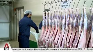 Pakistan exporters race to meet Malaysia’s US$200m halal meat deal