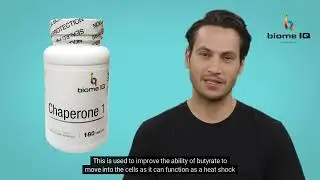 BiomeIQ - Chaperone1