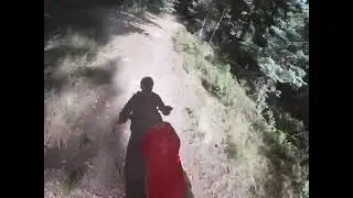 Cat Creek Trail 704