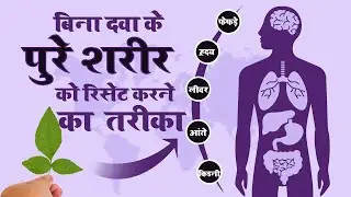 बिना दवा के पुरे शरीर को Reset करने का तरीका | Natural Body Reset - The Power of the DIP Diet