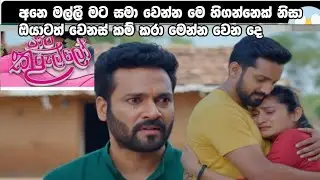 Pata kurullo || පාට කුරුල්ලො || කෙල්සි කෙවින් ගෙන් සමාව ගනී