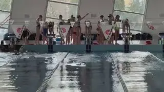 Chimera Nuoto, gli appuntamenti del 2026
