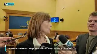 Ponte sullo Stretto, i ricorsi delle associazioni