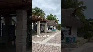 Cozumel #mexico #cozumel #city #tourism #tour #starprincess #ship #cruise #travel #trip #fun