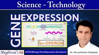 Gene Expression & Lac Operon Explained | Control of Transcription in Bacteria | UPSC Biology Series
