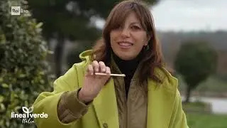 Ecologia VIterbo su RaiUno - Linea Verde Italia 29 marzo 2025