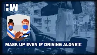 Headlines: Mask Mandatory Even If Driving Alone In A Car, Delhi High Court Rules