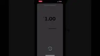 Buying Bitcoin Rapid Fire For 30 Seconds
